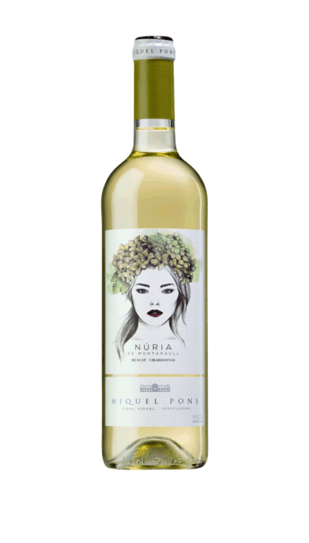 Vinho exclusivo em Casa Verde São Paulo